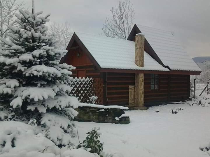 Agroturystyka W Ogrodach Sanok Exteriör bild