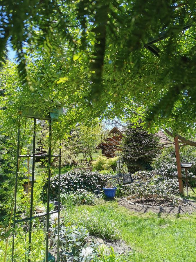 Agroturystyka W Ogrodach Sanok Exteriör bild